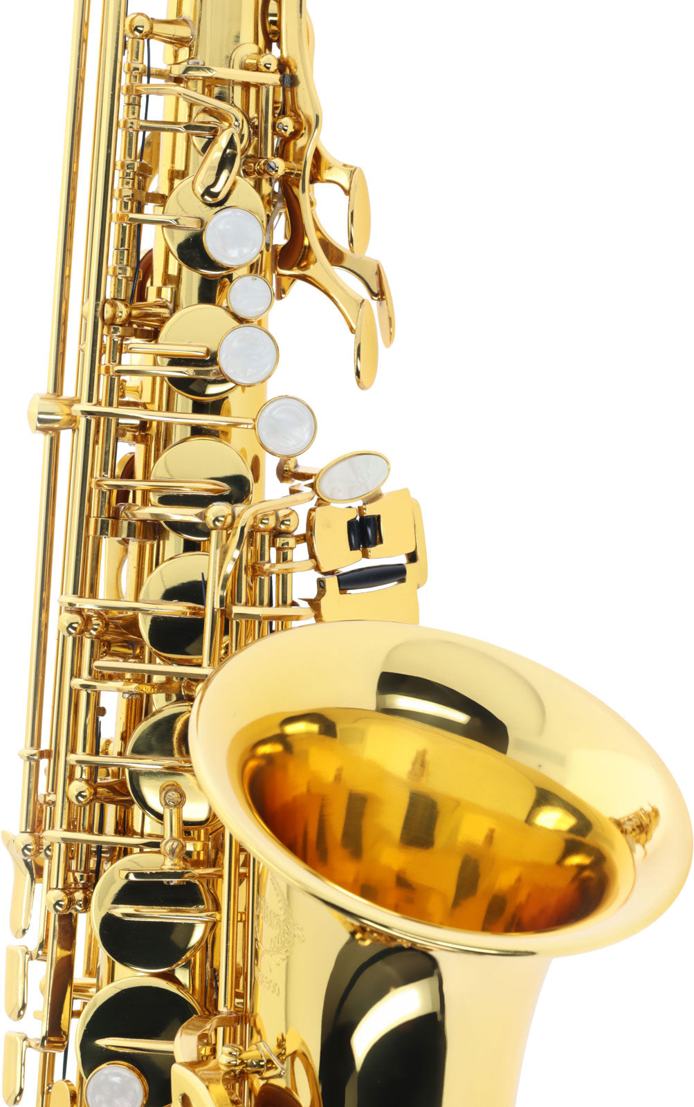 WSA300 - Alto Mi B Verni