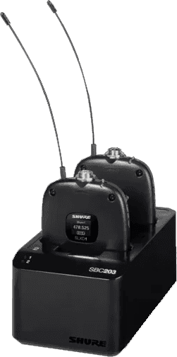 Chargeur 2 Baies Slxd1 Slxd2 Sb903