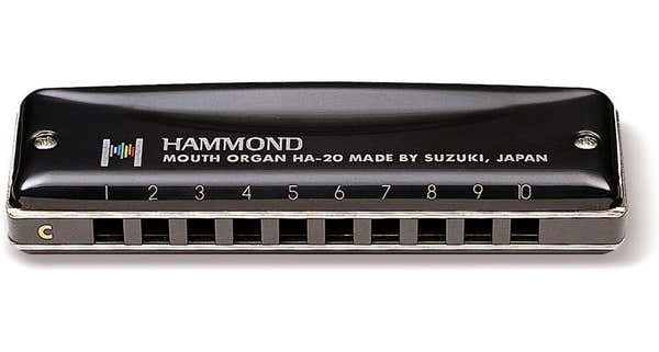 Suzuki Hammond B/si - 10 Trous