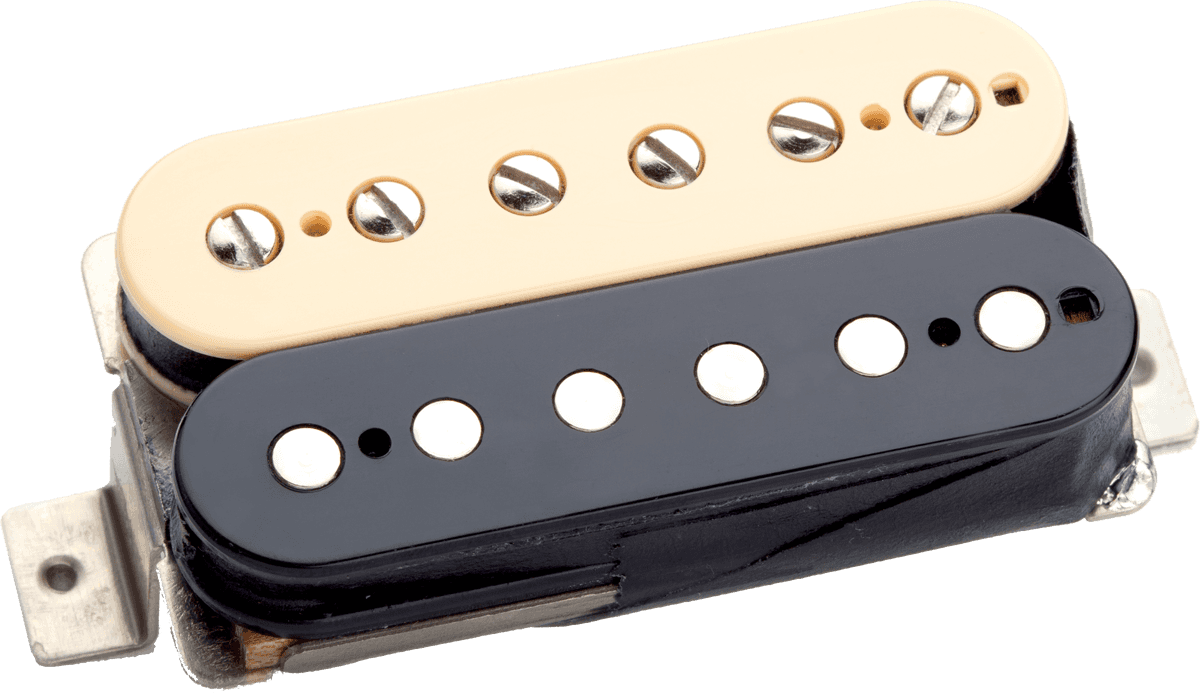 APH-2n Z Zebra Slash Alnico 2 Pro Manche