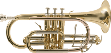 CO870-l