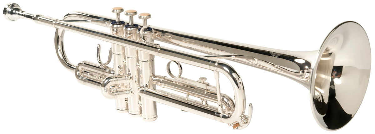 WTP400S - Si b Argentée - STOCK B