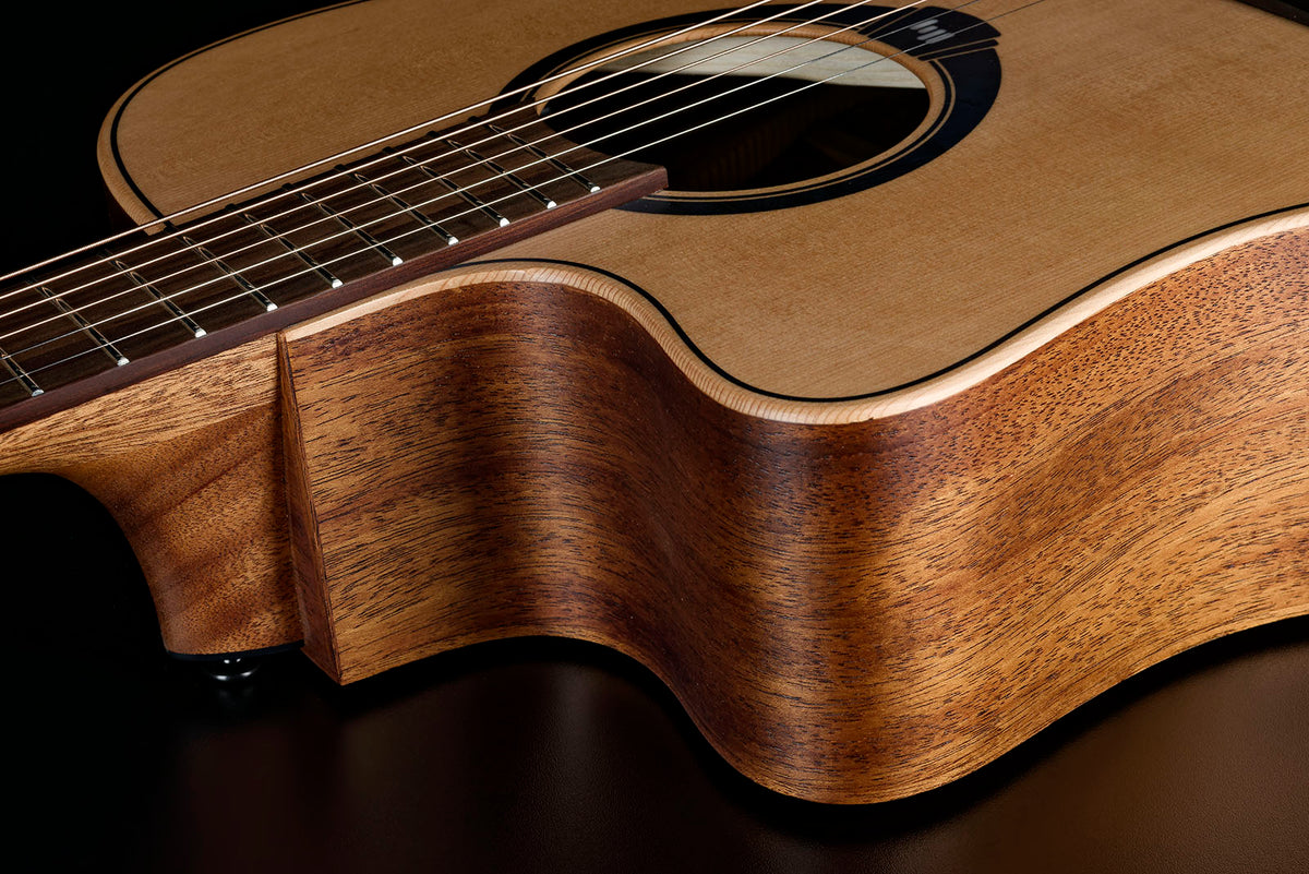 HyVibe 2 Série 10 Dreadnought Gaucher CW