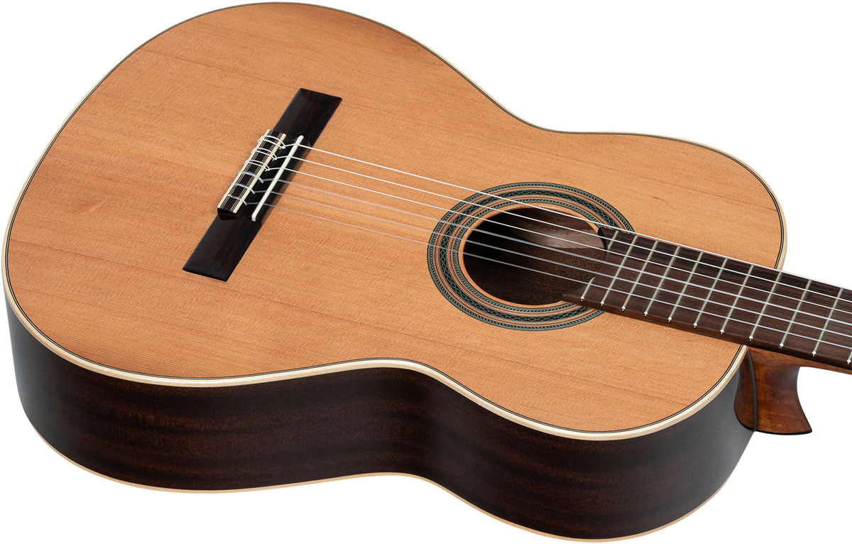 Traditional 4/4 + Pro Gig Bag