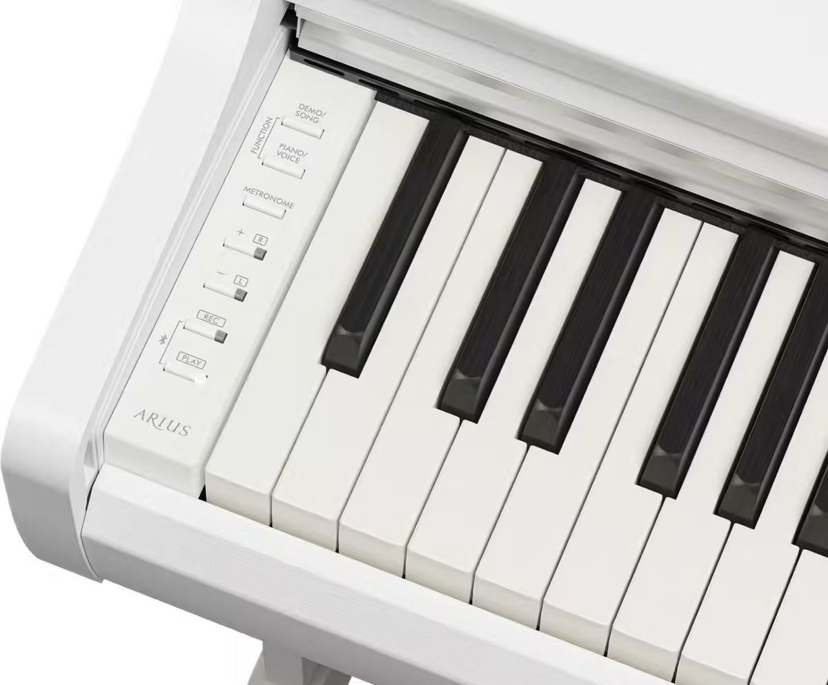 YDP-166 Blanc