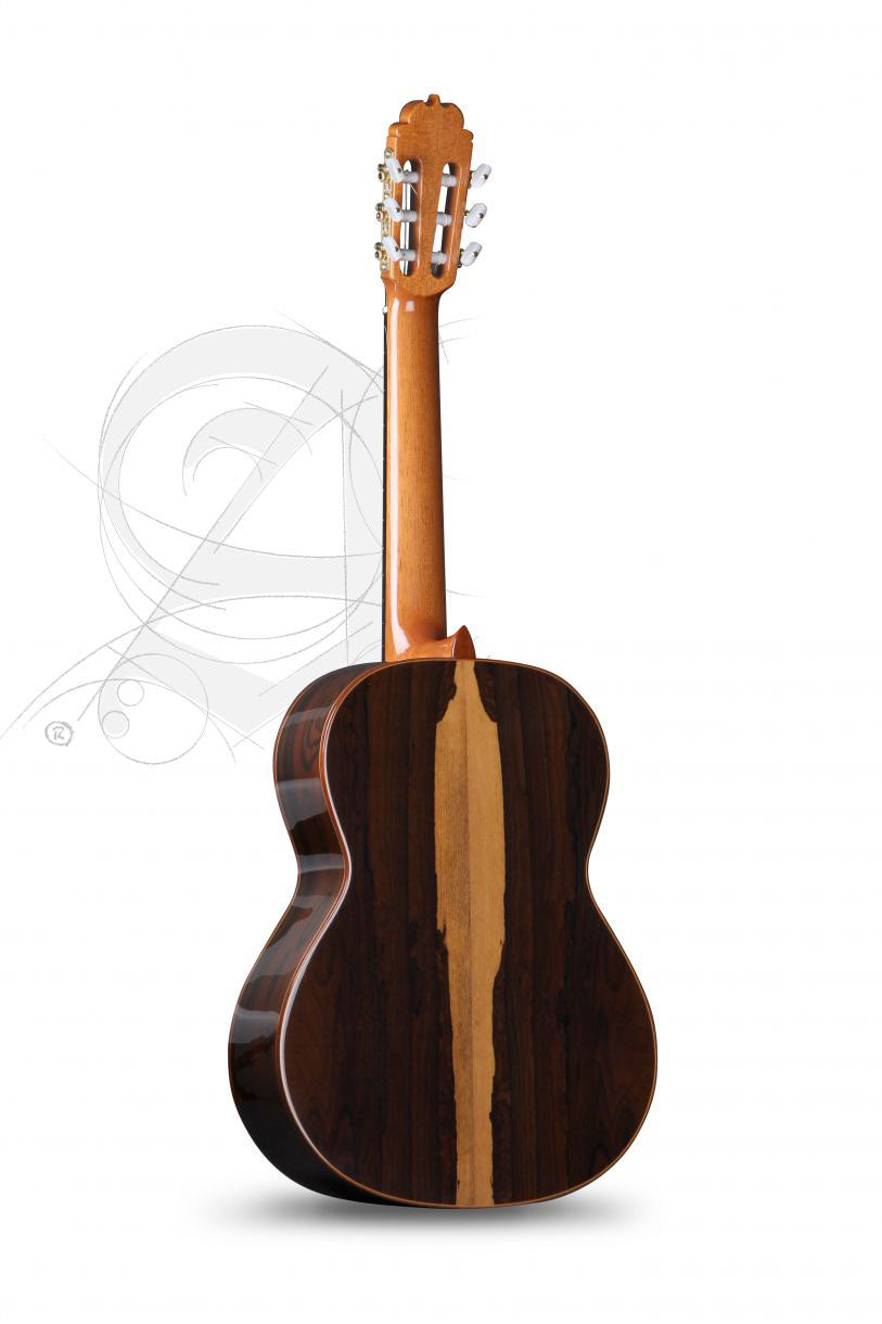 Professionnel Luthier Aniversario + 9650 Bam Iconic Etui