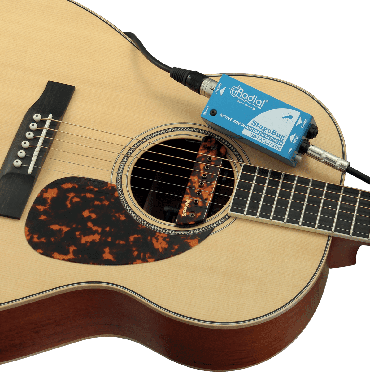 STAGEBUG-1 Acoustic - Di Active
