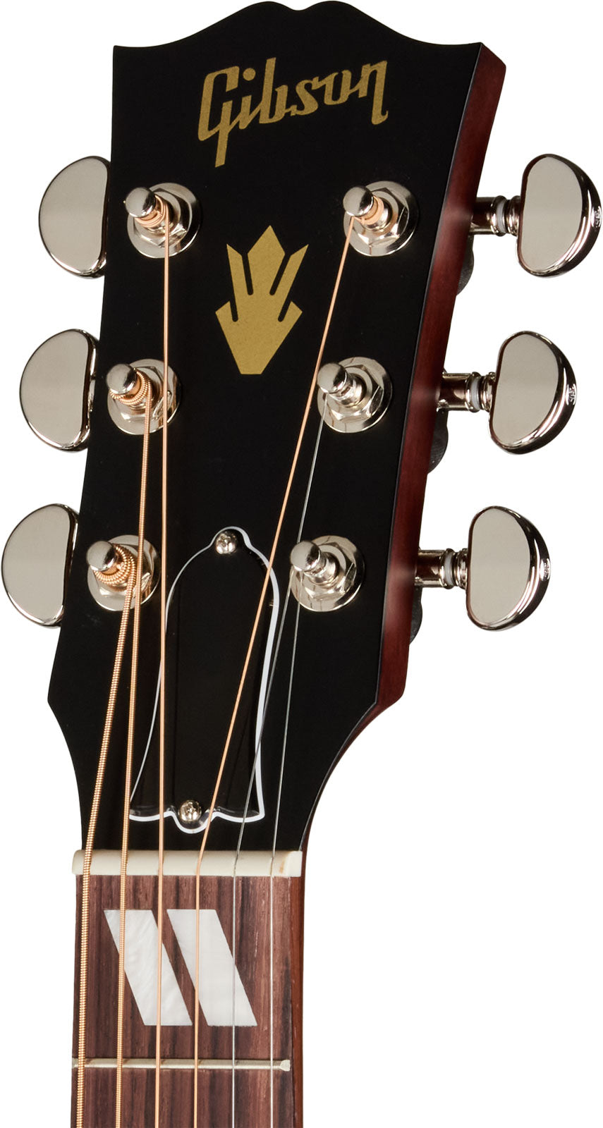 Hummingbird Special Satin Honey Burst Modern