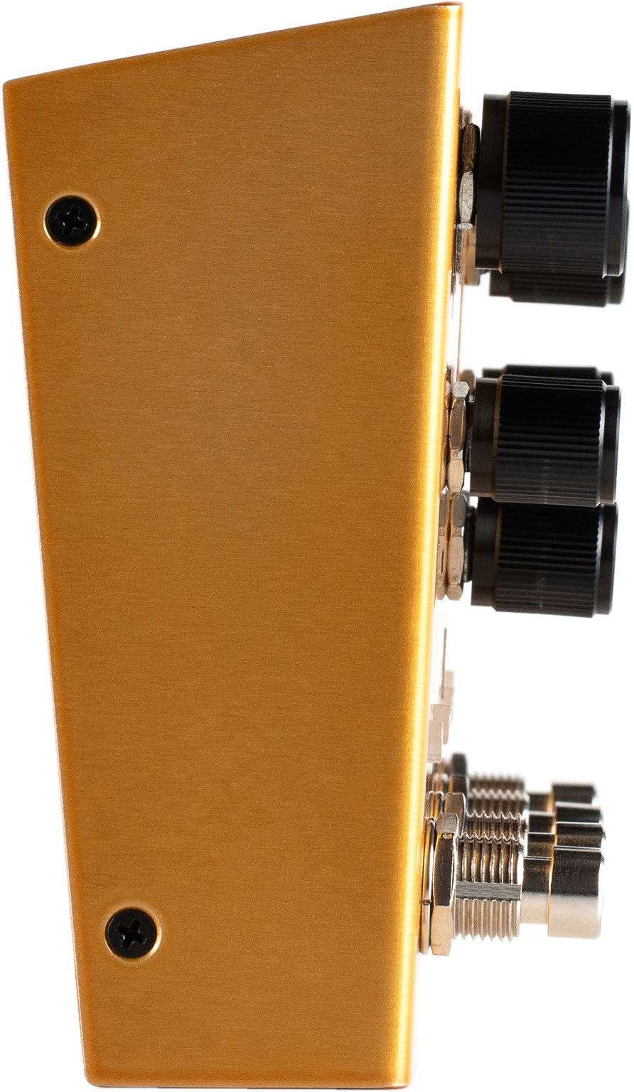 Enzo X Modular Synthesizer