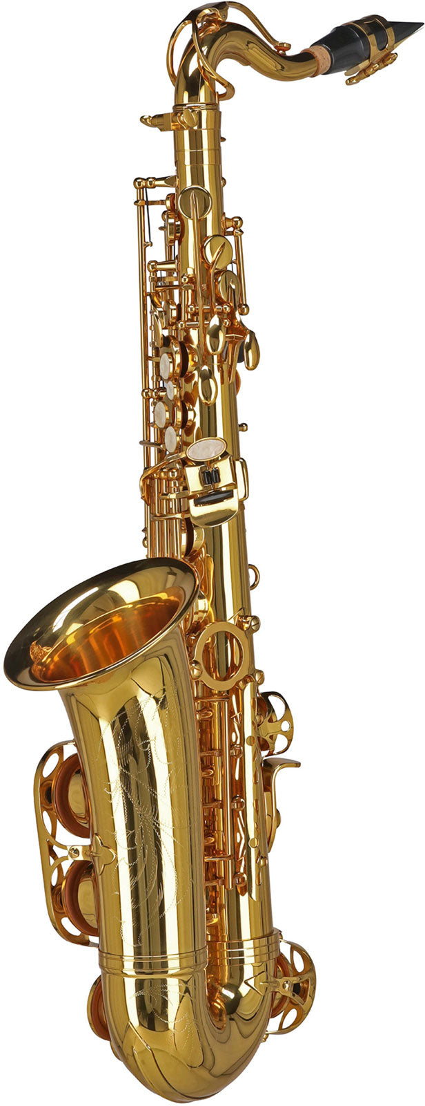 Ambition AS655 Alto Mib Verni (Enfant)