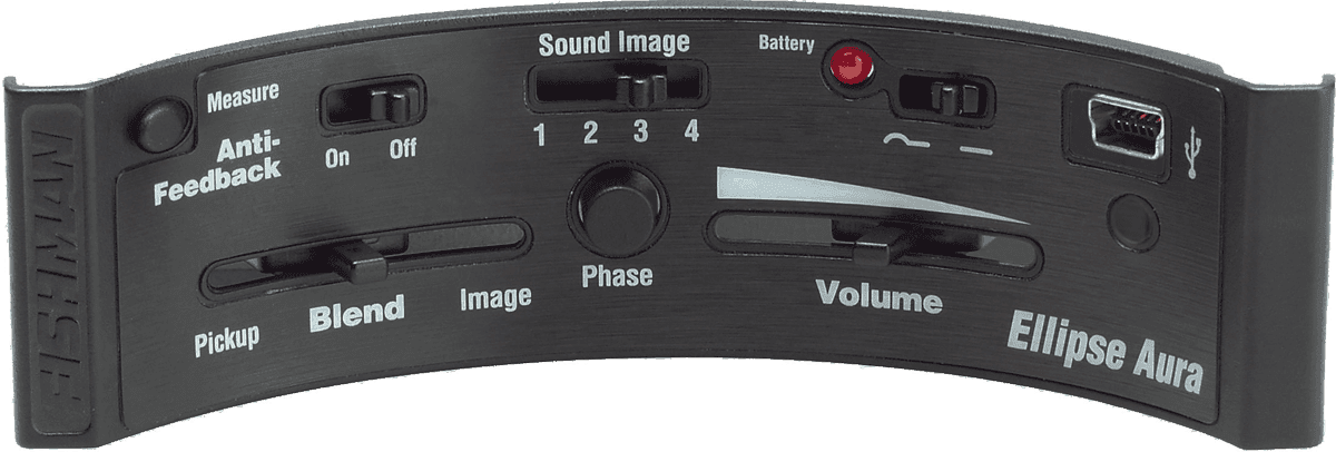 Fishman Micro Ellipse Aura Format Large