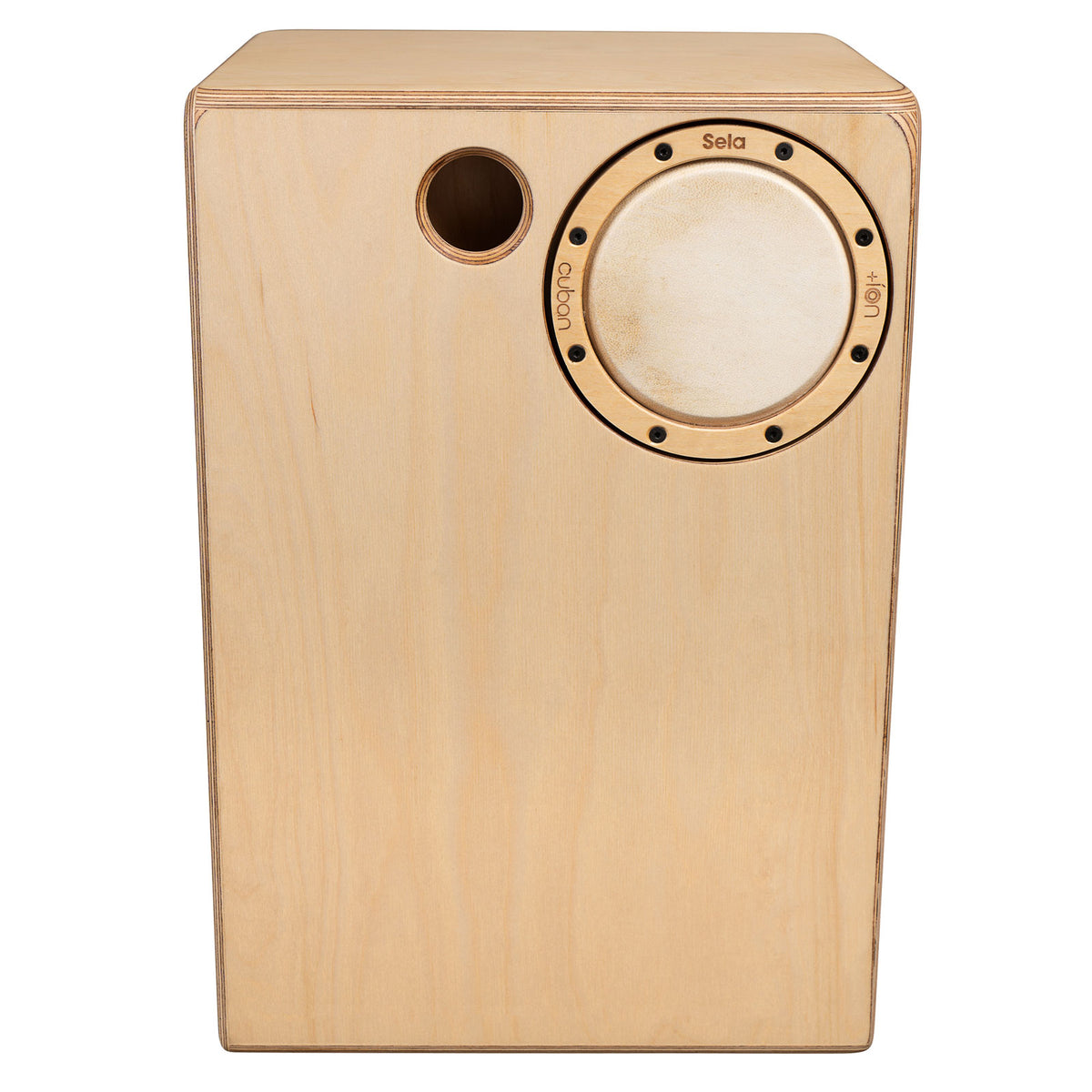 Iconic Cajon - Oak Roots
