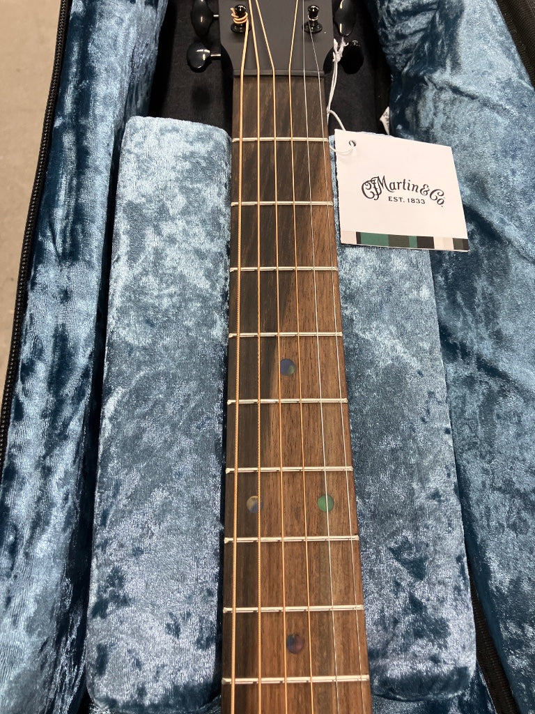 DC-10E Modern Black Satin Spruce/Sapele - Stock B