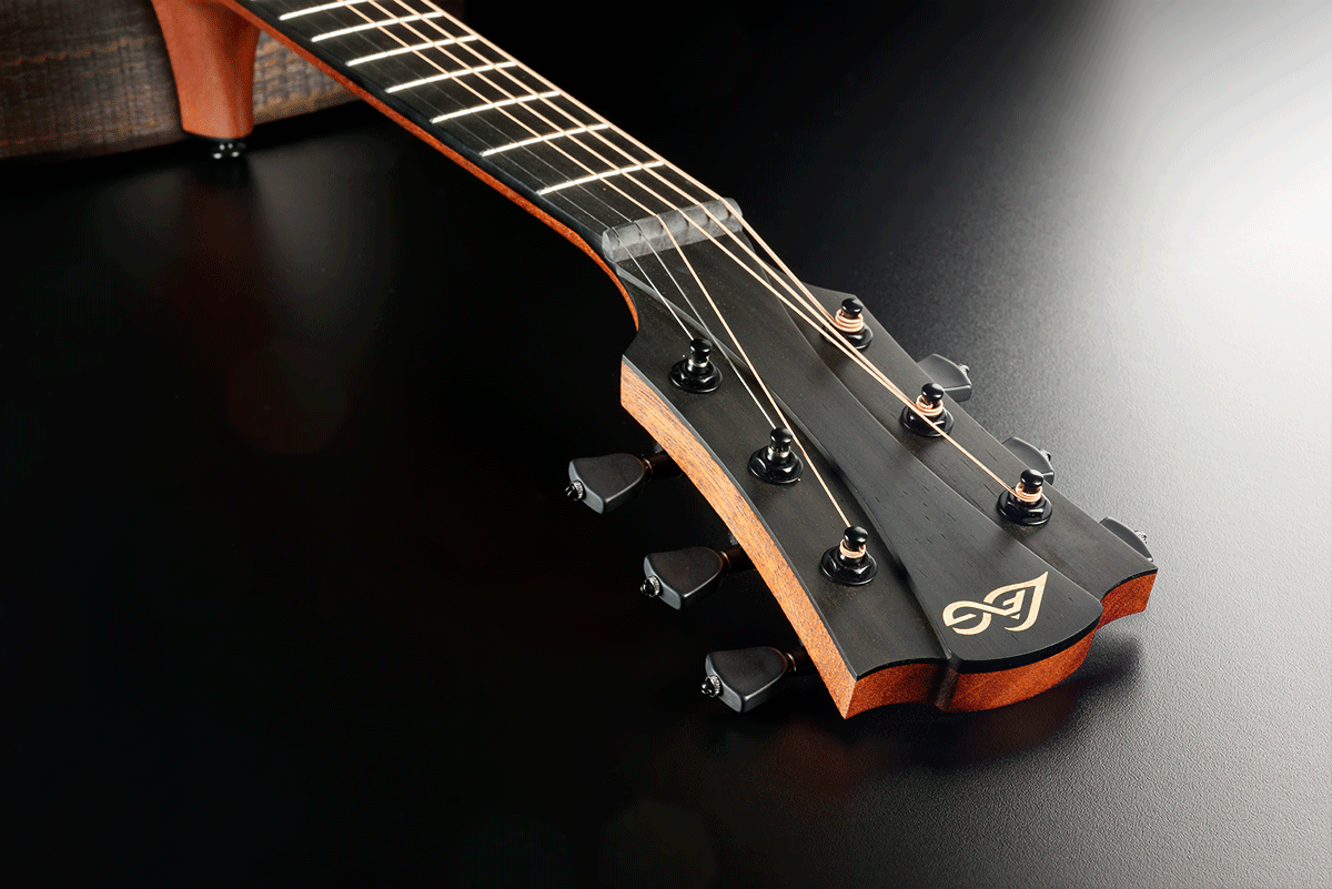 Sauvage Dreadnought avec housse