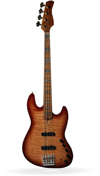 V10 Dx Swamp Ash-4 Ts Mn + Étui