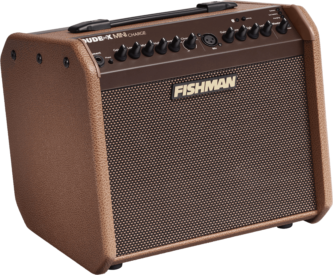 Fishman Loudbox Mini Charge 60 Watts