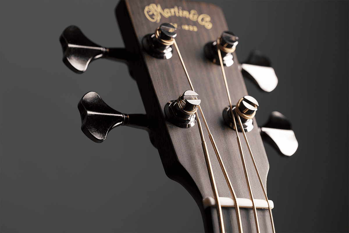 Basse Acoustique Bc-16E