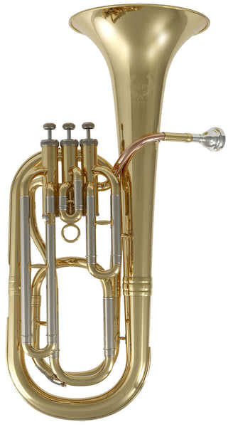 WSH200 - Si B Verni