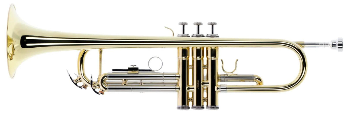 WTP200 - Sib Verni
