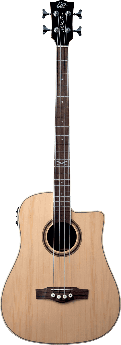 Basses acoustiques Eko