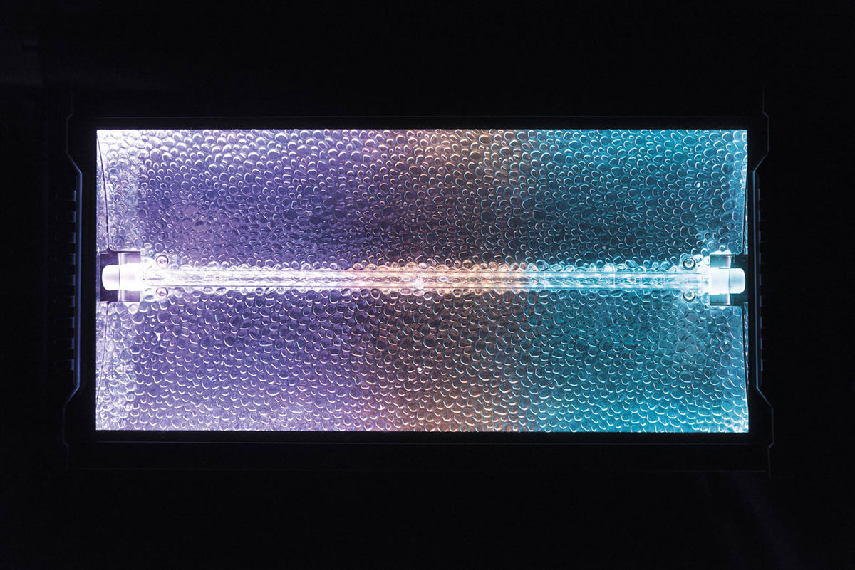 Titan Strobe Blaze