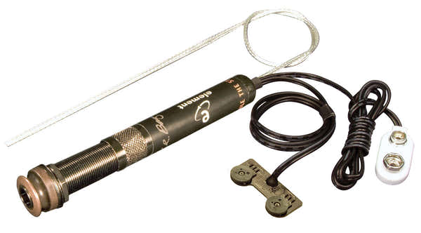 Lr Baggs EASVTC-n