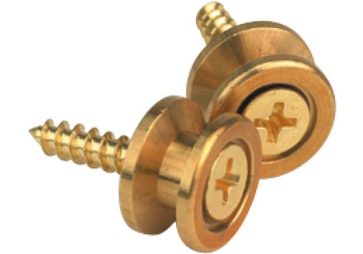 D'ADDARIO Solid Brass End Pins - Brass (pair)