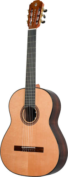 Pleyel P800 Expression 4/4 + Housse