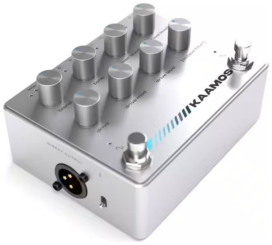 Kaamos Distorsion Octaver