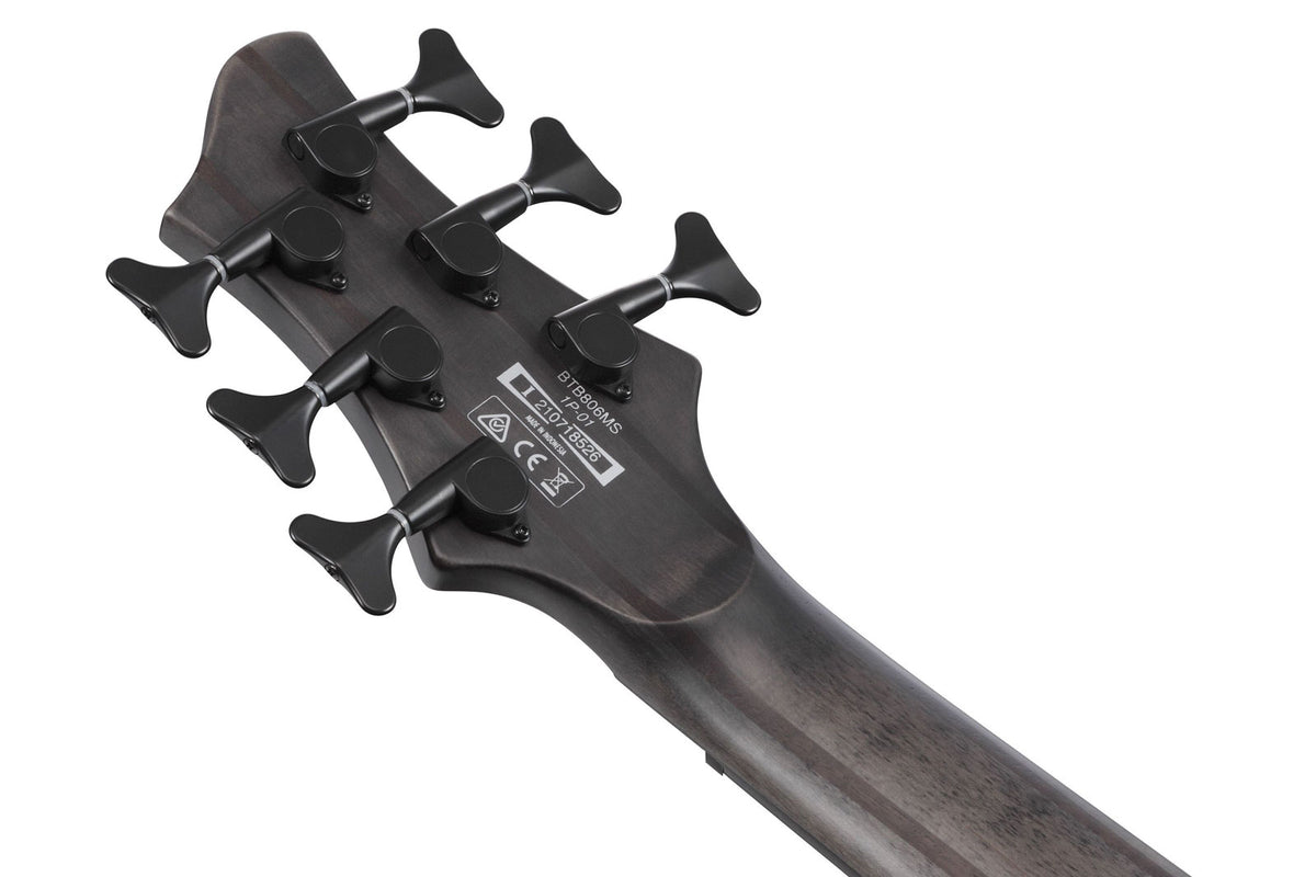 BTB806MS-TGF Transparent Gray Flat Bass Workshop