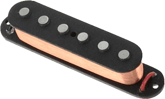 SJAG-2n - Hot Jaguar Manche Noir