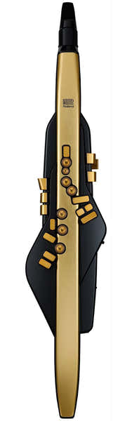 Roland Aerophone Pro AE-30A Doré