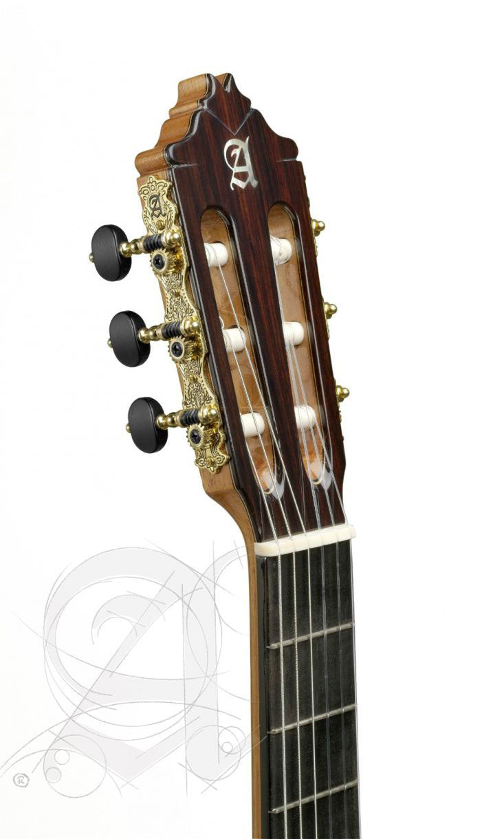 Concert 9P 12 1/2 Requinto + 9569 Etui