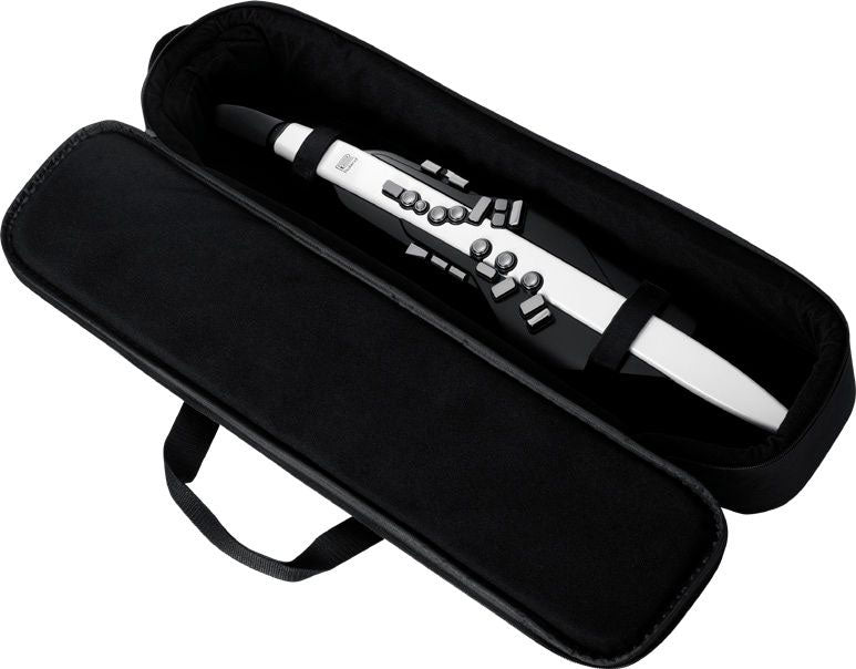 Aerophone AE-20