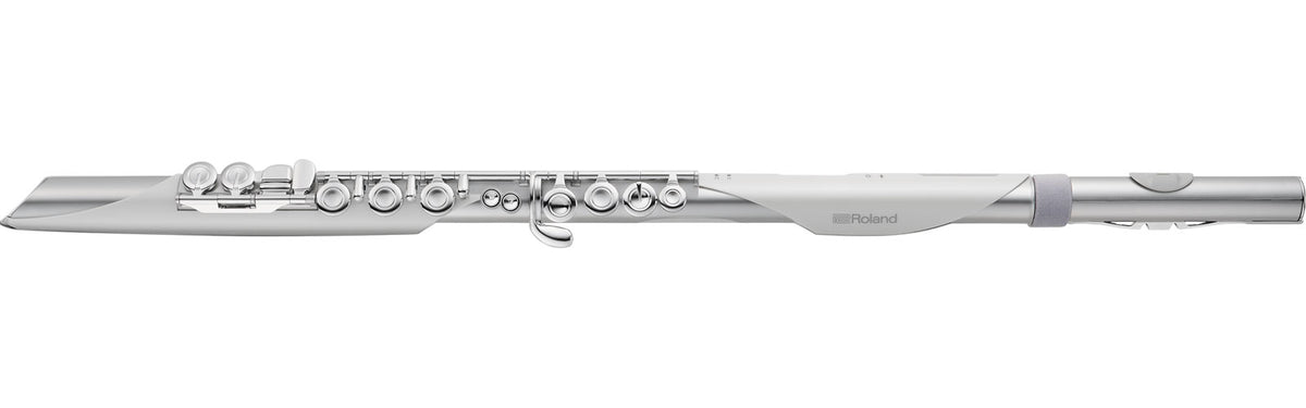 Roland AE-BRISA Aérophone Brisa
