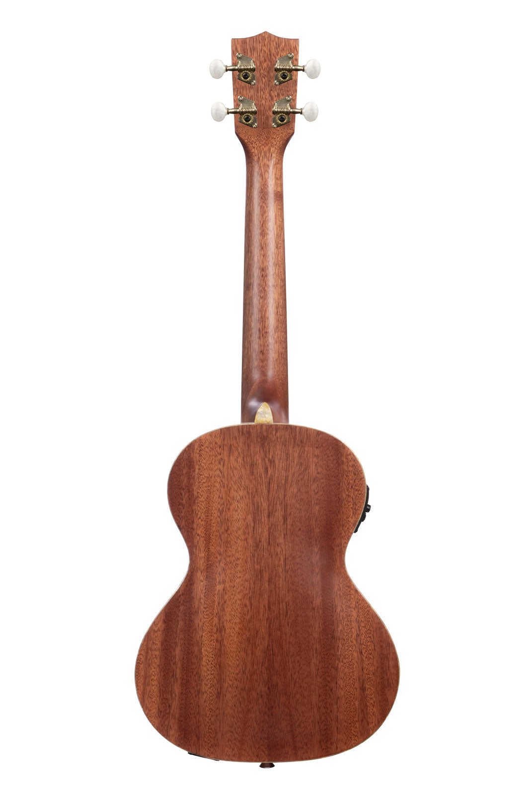 Ka-Jte-Kzgd Kalamazoo Gold Archtop Tenor