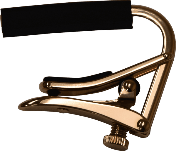 Shubb Pink Gold 12-string