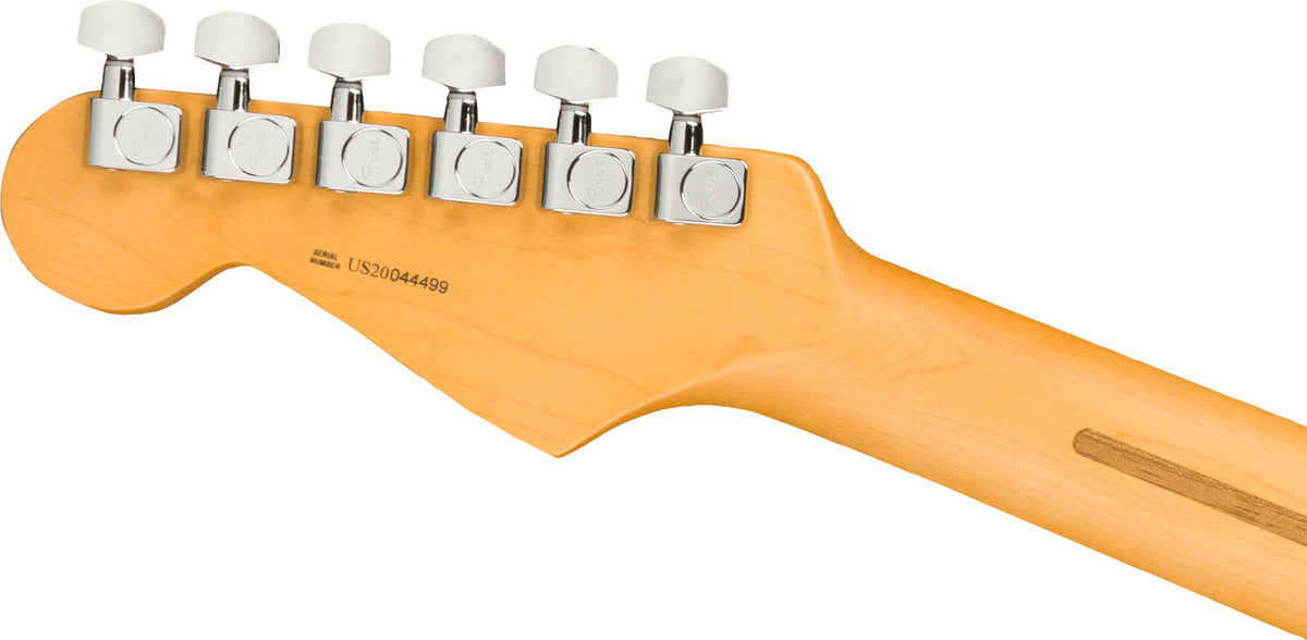 Stratocaster HSS American Professional II RW Dark Night
