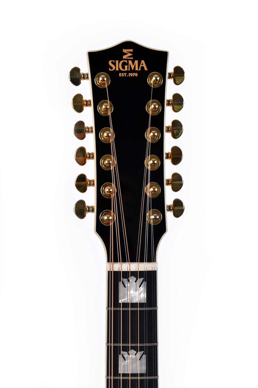 Serie Sg Gja12-Sg200 12 Cordes