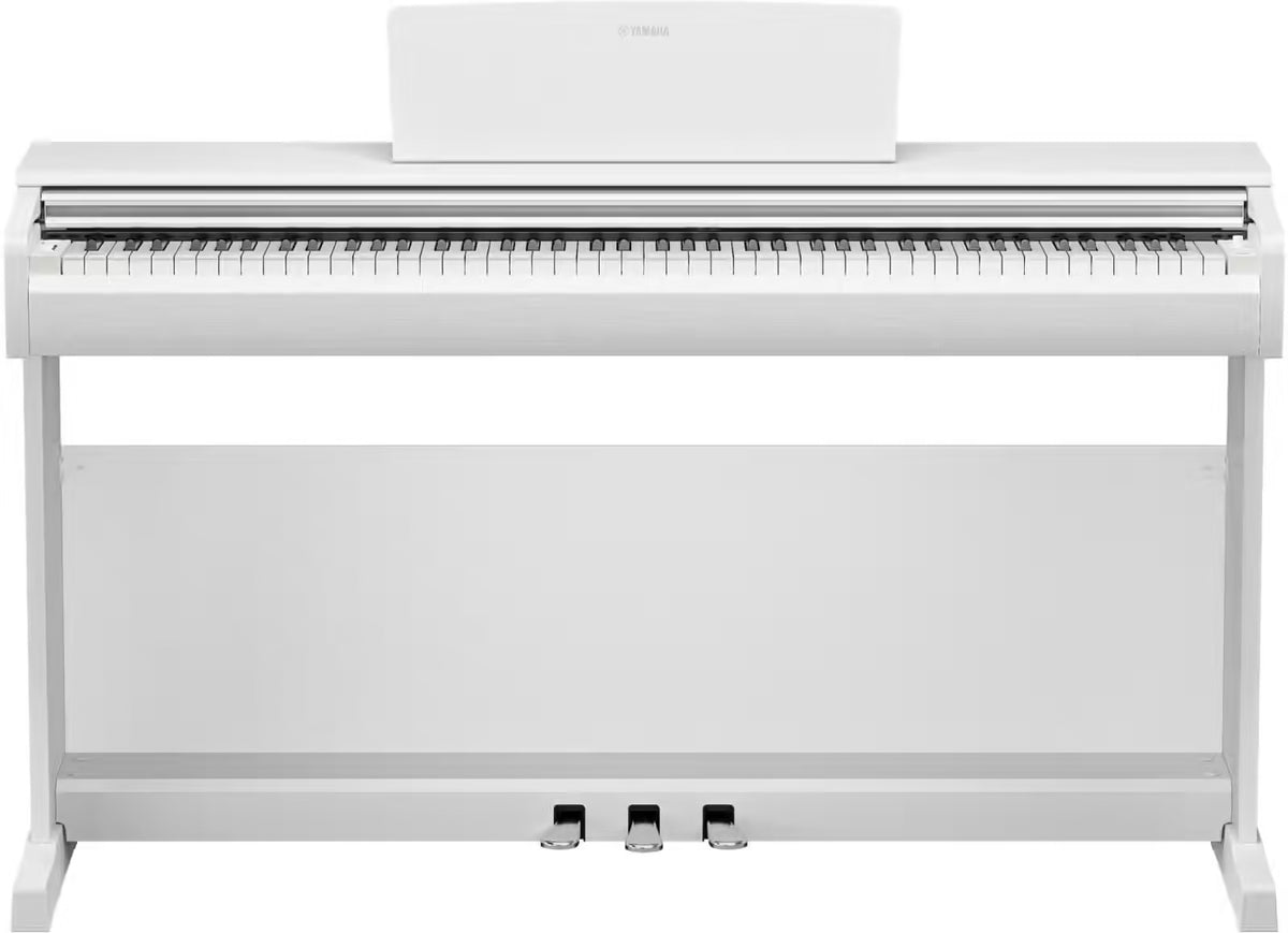 Arius YDP-146 Blanc