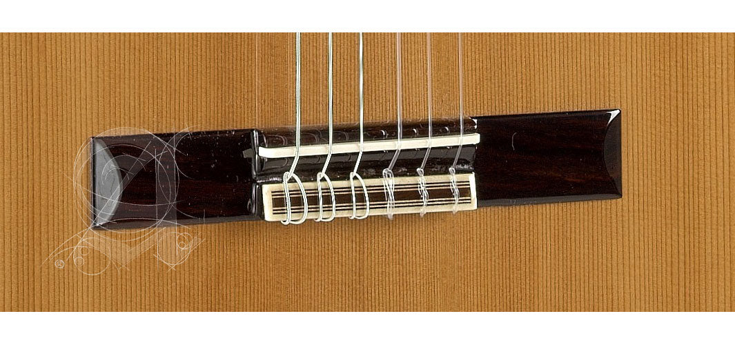 Etude 3C Cw E1 + 9738 25mm Housse
