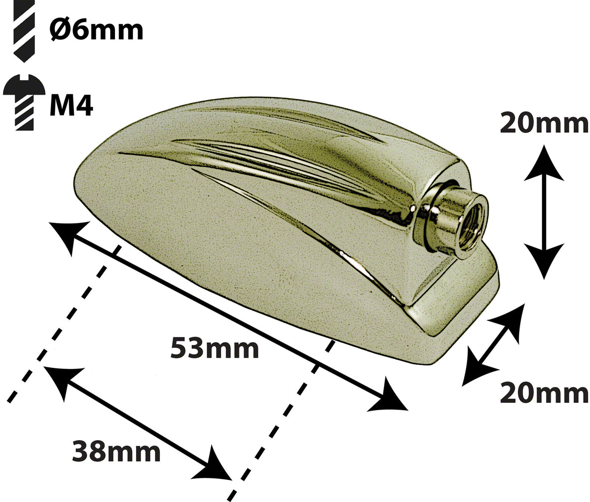 L6SDTT-BR Coquille / Tom 38mm Dorée (X1)