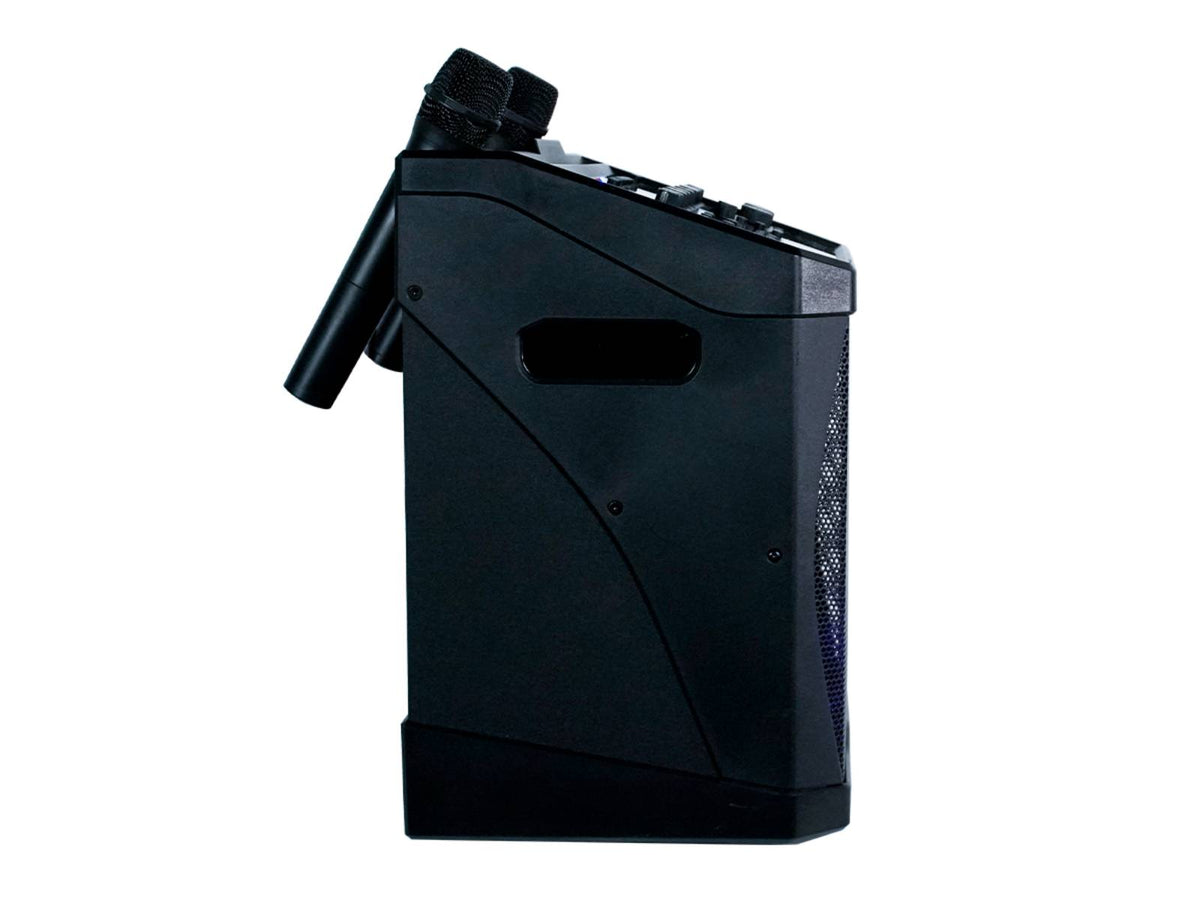 KP800-pro - Systme Karaok 160W