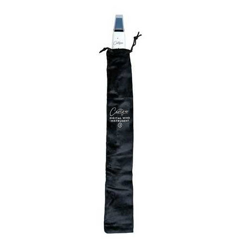 DIGITAL WIND INSTRUMENT 2 BLANC