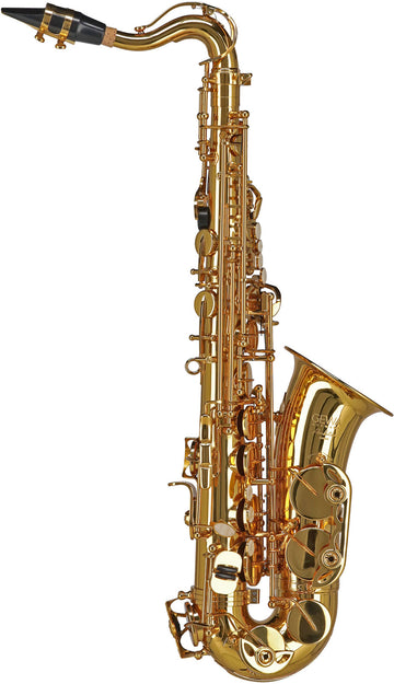 Ambition AS655 Alto Mib Verni (Enfant)