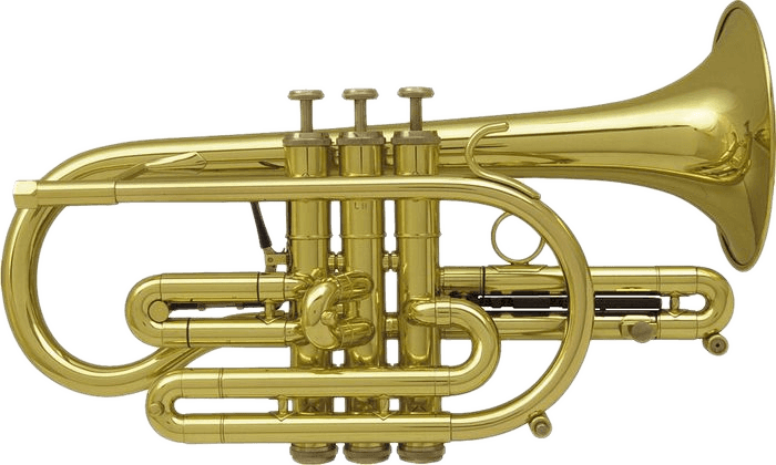 Eterna 800 Laiton Verni
