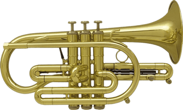 Eterna 800 Laiton Verni