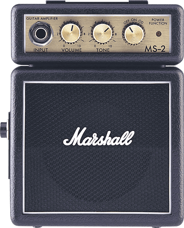 Mini MS2