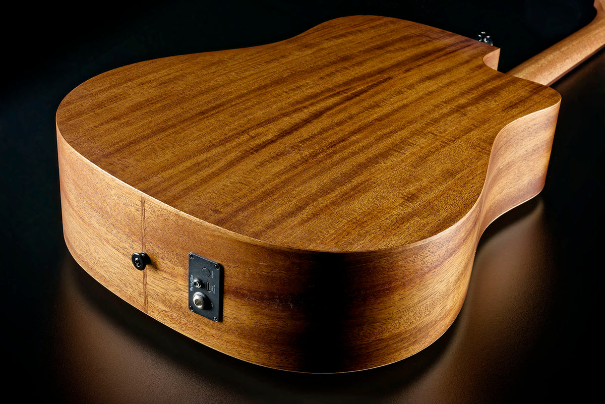 HyVibe 2 Série 10 Dreadnought Gaucher CW