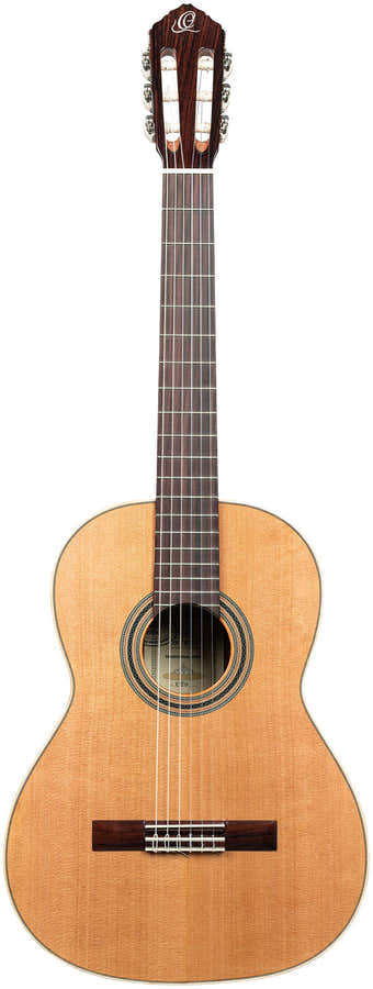 Traditional 4/4 + Pro Gig Bag